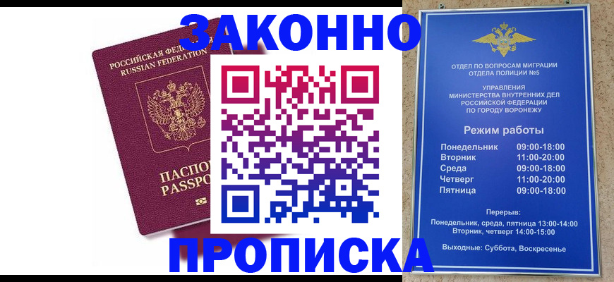 найти адрес прописки в Бородино
